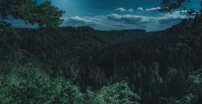 Foto: (Imagem de Florian Kurz por Pixabay)