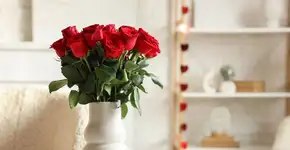 5 plantas para atrair mais amor para a sua vida