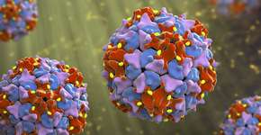 Foto: (Dr_Microbe/istock)