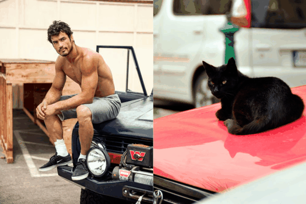 O blog é atualizado com postagens todos os dias (Imagem: Reprodução/Tumblr)