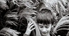 Foto: (Imagem sem texto alternativo disponivel ID [1617733])