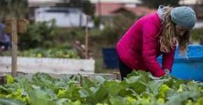 Horta comunitária em Florianópolis promove saúde e socialização