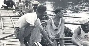 Foto: (Imagem sem texto alternativo disponivel ID [832694])