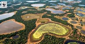 Foto: (ADRIANO GAMBARINI)