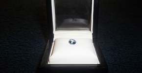 Foto: (Imagem sem texto alternativo disponivel ID [1895758])