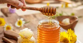 Mel: conheça os benefícios para a saúde e como adicioná-lo à alimentação