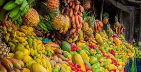 Conheça as frutas que vão te ajudar a regular o intestino