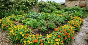 Foto: (Imagem sem texto alternativo disponivel ID [2772815])