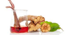 Dose controlada de Santo Daime pode reduzir sintomas de depressão