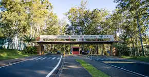 Foto: (Milanetto/Divulgação)