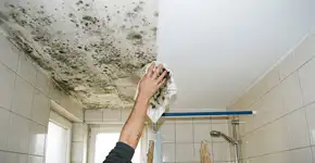 Por que você deve passar um pano com vinagre no teto do banheiro antes de pintar