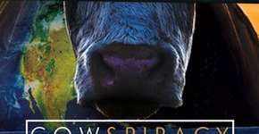 Foto: (Imagem sem texto alternativo disponivel ID [978380])