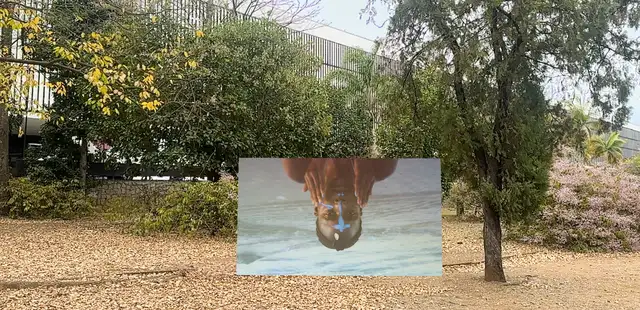 36ª Bienal de São Paulo