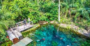 Foto: (Divulgação)