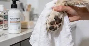 Foto: (Imagem sem texto alternativo disponivel ID [2736084])