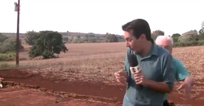 Jornalista fazia reportagem sobre onça quando levou um susto