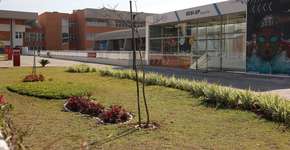 Foto: (Divulgação/Sesi-SP)