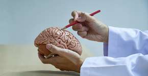 Foto: (iStock/undefined undefined)