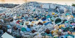 Larvas de mariposa conseguem comer plástico