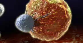 Canceres que se desenvolvem de forma silenciosa