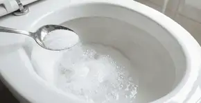 Foto: (Imagem sem texto alternativo disponivel ID [2751419])