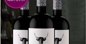 Foto: (Imagem sem texto alternativo disponivel ID [366115])