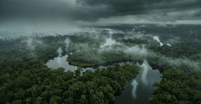 Foto: (Imagem sem texto alternativo disponivel ID [2747376])