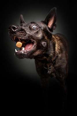 Todos as fotos por Christian Vieler / Reprodução