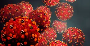 Foto: (Design Cells/istock)