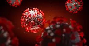 Foto: (Maksim Tkachenko/istock)