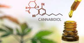 Pedidos de remédios à base de canabidiol crescem 490% e têm atrasos