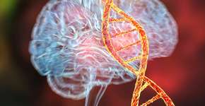 Foto: (iStock/Dr_Microbe)