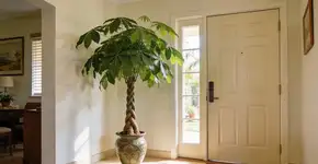 Foto: (Imagem sem texto alternativo disponivel ID [2684969])