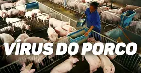 O que se sabe até agora sobre o novo vírus encontrado na China com potencial pandêmico