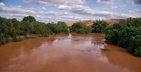 Foto: (Imagem sem texto alternativo disponivel ID [990520])