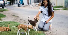 O que significa fazer carinho em cachorro na rua, segundo a psicologia