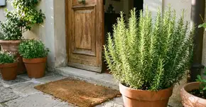 Foto: (Imagem sem texto alternativo disponivel ID [2787697])