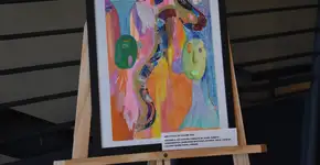 Cine Theatro Carlos Gomes recebe exposição Reflexos