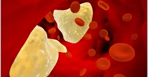 Este chá ajuda no controle da glicemia e reduzir o colesterol ruim