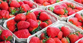 Central Plaza Shopping recebe Festa do Morango