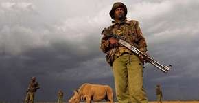 Foto: (Imagem sem texto alternativo disponivel ID [849477])