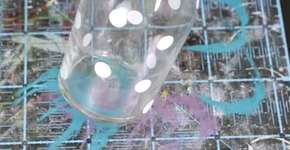 Foto: (Imagem sem texto alternativo disponivel ID [722890])