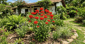 Foto: (Imagem sem texto alternativo disponivel ID [2750320])