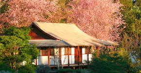 Templo budista no interior de SP oferece experiência de vivência