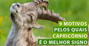 9 motivos pelos quais capricórnio é o melhor signo