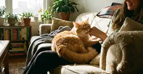 Foto: (Imagem sem texto alternativo disponivel ID [2739648])