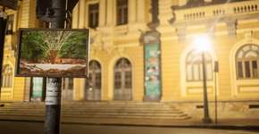 Foto: (Imagem sem texto alternativo disponivel ID [1077299])