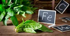 Foto: (Imagem sem texto alternativo disponivel ID [2746734])