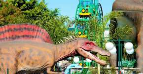 Foto: (Imagem sem texto alternativo disponivel ID [1471329])