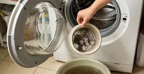 Foto: (Imagem sem texto alternativo disponivel ID [2699167])